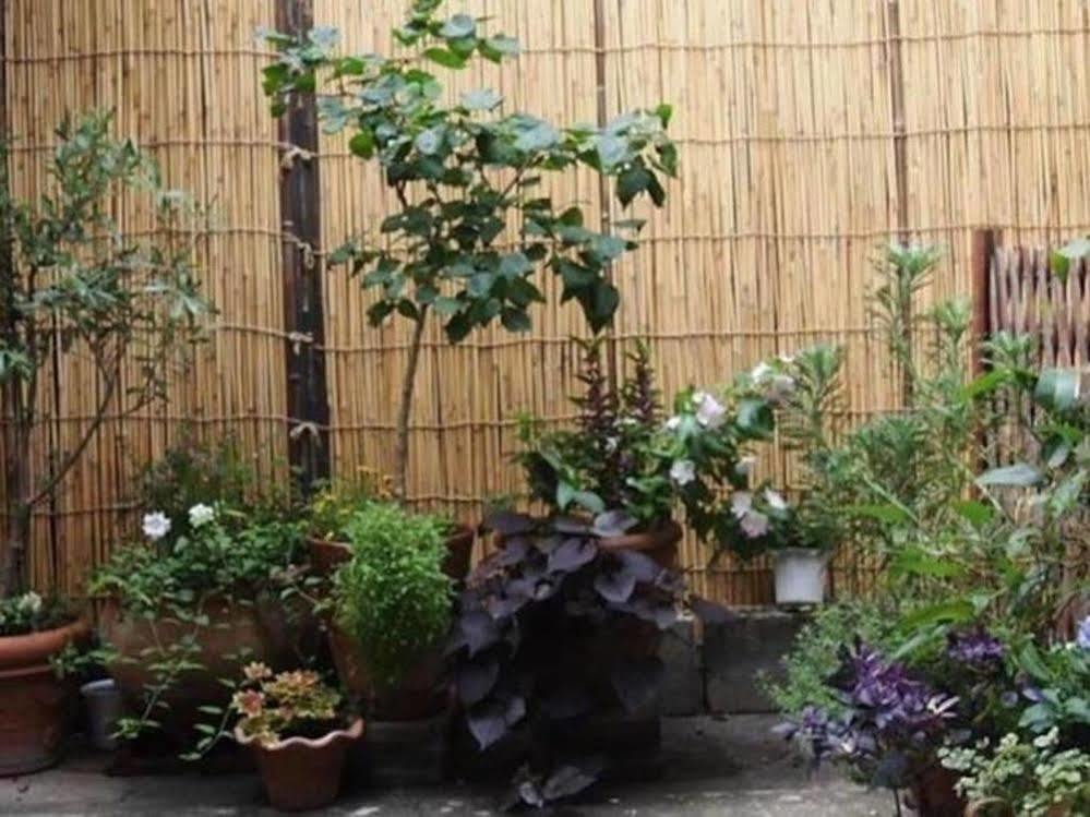 Guesthouse Usagi-Momiji Kioto Exterior foto